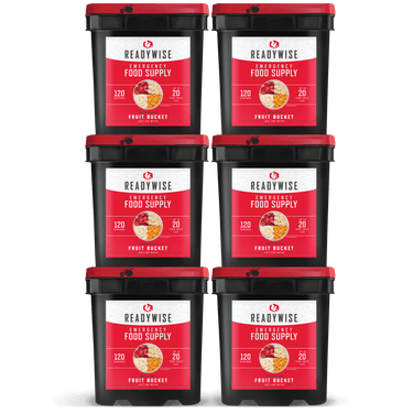 720 Serving Freeze Dried Fruit Bucket (6, 120 serving buckets)